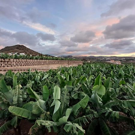 RK Hacienda La ReKompensa Arucas Exterior foto