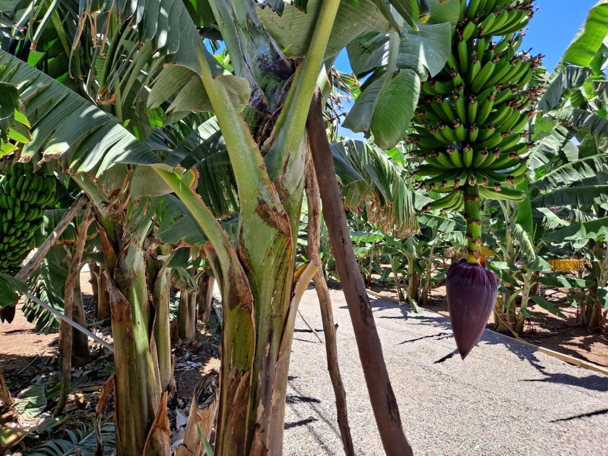 RK Hacienda La ReKompensa Arucas Exterior foto